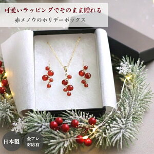 y|Cg5{ 12/11 01:59܂ŁzԃmE x[ sAXECO lbNX zf[{bNX NX}XRt v[g NX}XMtg bsOt ؂₩ Ԃ ~ @