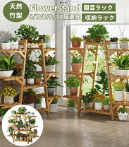 楽天市場】多肉植物 棚（植木鉢・プランター｜ガーデニング・農業 