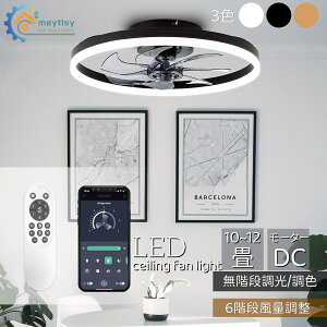 led V[Ot@Cg 10~12 Ki/F 6Kiʒ DC[^[V 4000LM 2025N̐Vf led t@tV[OCg t@t] PSEF؍ ߓd ȃGl Q a 