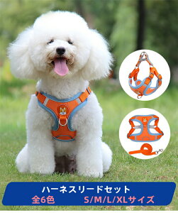 n[lX[hZbgpLpփybgpin[lX[h^^AEghAUoꂩ킢dogcat}`[YpOV[Y[L