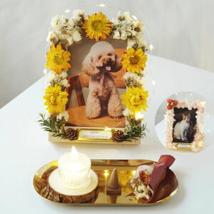 ybgZbgybgʔvI[_[ʐ^Ďʐ^ybgtHgv[gLI[_[ChIWieybgdybgAAObYhCt[tH