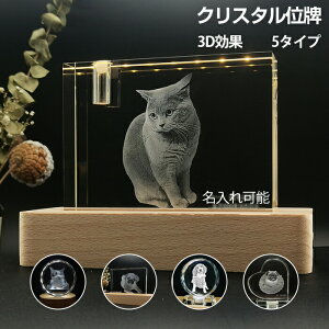 ybgZbgNX^ʔvybgʔvI[_[꒤IWieBybgtHgv[gI[_[ChIWieybgdybg[U[AtHgt[y