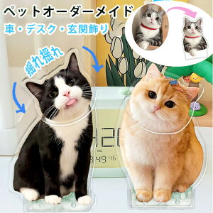 悠I[_[ChybgԏUIWiybgAObYԂ̏ԍڗh茢I[igybgL蕨CeAuԓ̒u