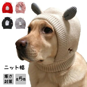 ybgXqpjbgXqLETMybgLbv^΍ۉgANZT[ybgpNX}XahObYLpv[gEȒPBe