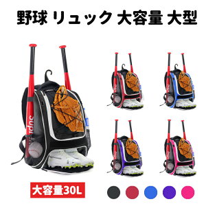 싅bNobg[eʑ^30LobNpbNV[Y[싅obO싅obNbNbJ[ʊw