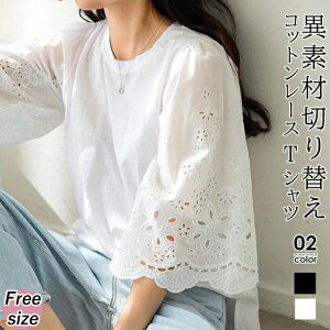 }\fB[XpEBYgbvXVctăVvIVV[X[