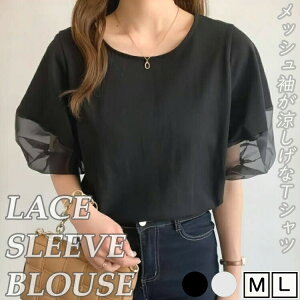 }\fB[XpEBYgbvXVcrWlXtăVvIV[X