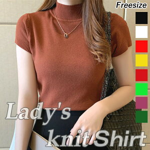 }\fB[XpEBYgbvXVcCi[tăVvIVjbg