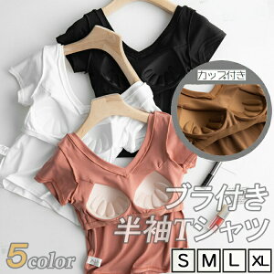 }\fB[XpEBYgbvXVcCi[ċGVvIVmC[uJbvQ