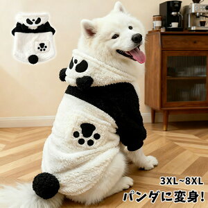 ybgp[J[t[htӂӂp_p_ɕϐgNуybgEFAhbOEFAWPbghH~pipiybgpi^^^ꂩ킢