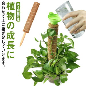 2g|xp[RRXeBbNXexϗtAx|xRRibcxAT|[gAK[fjOpԂ鐫Ag}g|gX_Ɨp|pc\