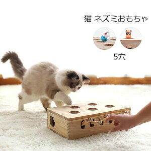 L얞CɂȂLplY~mߋlRL炵L̂ჂO@ؐ^sXgXav[gؔ5m痯yVԔLpitoylp^CvCO