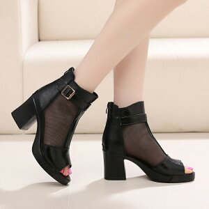 }[u[cu[cT_gOT_I[vgDfB[XCT_fB[Xu[cȂr₷q[ănCq[ubNXNGAq[u[c