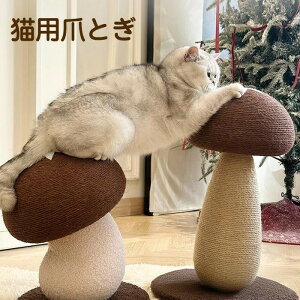 T܂ƂLLpvXgX^sߋϋvƂ̔jh~LpiybgpƋیܖ܂Ƃꖃ܂ƂLplRp