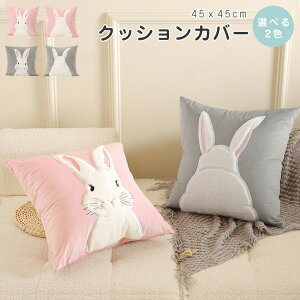 2025NbVJo[45×45cmkꂩ킢hJrbhNbVJo[`p^zcJo[IV`p^\t@[wĊېOKݑΖ􂦂