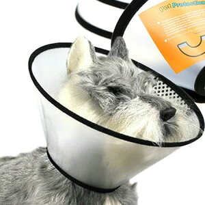 yʃ\tgGUxXJ[[}WbNe[vőy`]Lpp㏝ی쏝Ȃ߃PKp݂܂삢ʂ˂CklR