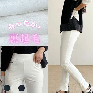 StEFAfB[X؍NуpcOpcXLj[~H~StEGAStEGAXLj[pcghۉM9X|[cEFAzCgu