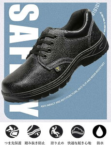 SC ƌC vC h y Bݔh~ |Sc ~ [Jbg R^Cv ϖ ϖ Ȃ  Y fB[X Ch Ռz