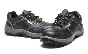 SC vC nCJbg Y ƌC nڗp SC Y fB[X ₷ HC SCXj[J[  jp