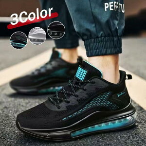 Xj[J[ Y  bV  EH[LOV[Y ₷ w X|[cV[Y ʋ ʊw