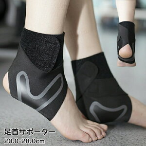 T|[^[   y܂ A[`T|[^[ X|[c