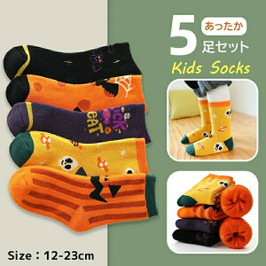 5Zbg C LbY nEB C q nEB\bNX H~@g ̎q  K[Y {[CY jZbNX ̎q j̎q  j q q nEB ߑ q Ha