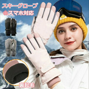 Xm[{[hO[u XL[O[u 5{w@^b`plΉ fB[X@AEghAO[u hO[u ۉ ~  PUv h h