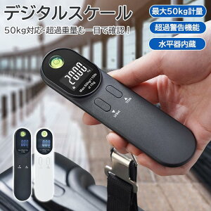 fW^XP[ 50kgΉ וp ͂ t ^ѕ֗ dq͂ spXP[ ߏdʃA[g ϐFx