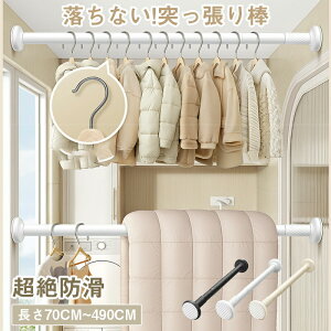 ˂_  XeX 35cm` 490cm 1m 2m 3m 4m Ȃ˂_ ς_ Lk_  J[e ߗ R[g| I x_ rO ʏ gC C   J[e