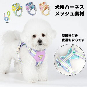 ybgn[lX L  xXg n[lX xXg^n[lX [h Zbg ^ pn[lX   EȒP 2_Zbg h~ m 풅 ʋC  q ^ U