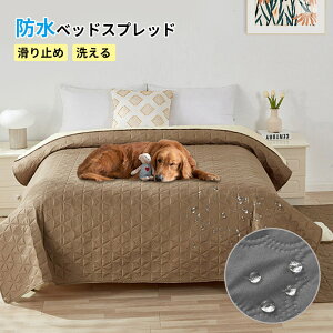 xbhXvbh }bgXJo[ }`Jo[ xbhJo[ h Lg \t@Jo[ ybg  VO _u Z~_u 唻 ho k h~ ܂Ƃh~ Lg V[c ͗l