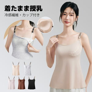 L~\[ Jbvt ڐG⊴ u y  XgbvI[v V[X uL~  YO Y Dw ugbv L~ u }^jeB pbht }^je