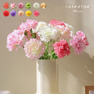 10{Zbg tFCNt[  ԑ J[l[V t[AWg CeA ̓ v[g t[ u[P o[Xf[ j zCgf[ ̓ ̓ j