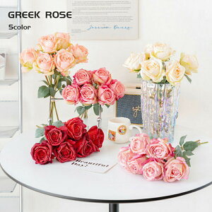 10{Zbg tFCNt[  ԑ t[AWg [Yu[P  u[P KN [Y o CeAt[ A[eBtBVt[ CeA EFJXy[X