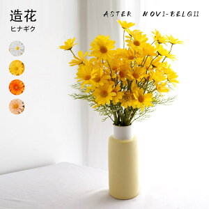 30{Zbg tFCNt[  ԑ fCW[  u[P e qiMN t[AWg CeAt[ A[eBtBVt[ CeA rO[ eiX