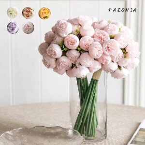 u5Zbgv tFCNt[  ԑ {^ t[AWg t[AWg CeA t[ u[P o[Xf[ j zCgf[ BeObY LO E