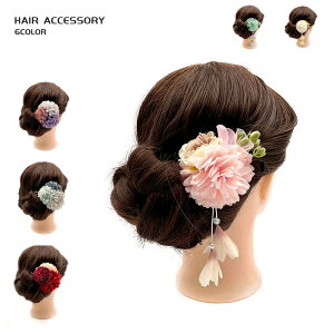    a wAANZT[ Nbv a [g sN O[ u[ȒP a  킢 20 ʐ^ LO ͂  V[g ߂  t[ 6color