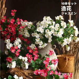 10{Zbg 20{Zbg tFCNt[  ԑ CeA WX~ t[ u[P AW o[Xf[ EFfBO Be CeA j zCgf[ ̓ ̓ 