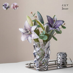 3{Zbg   t[AWg  _A  S CeA v[g Mtg  dp@ 蕨 j LO  Ԃ ̓Q ͂Ȃ tF