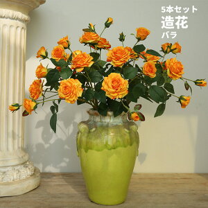 5{Zbg 10{Zbg tFCNt[  ԑ CeA o REVo [Y t[ u[P AW o[Xf[ EFfBO Be CeA X  j zCg