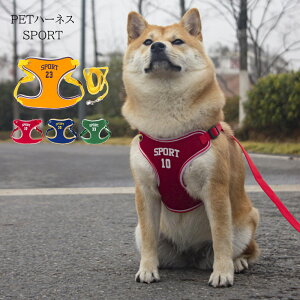  n[lX [h ^ ^ ^ L  킢 EȂ bV obN  U SPORT bh@CG[@u[@O[ tBbg S Lbg  ́[˂ 