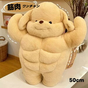 킢 ʂ ؓ` ؓ 낢 gCv[h 35cm 50cm 65cm  hbO  gC  ޏ Ƒ LbY Mtg v[g 킢 a NX}X