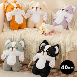  ʂ ` 킢 O[ ubN CG[ p[v IW 40cm ~jʂ ʂ 