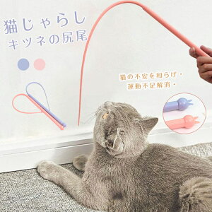 L炵 L lY~Ǩ`L̂炵 2color ^sƃXgX SVR ˂ߋ    L̂D݂炵 lY~̐K Lp ނ LV 