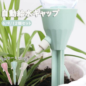 Lbv 6/9/12Zbg 6/9/12PCS  蓖   A 傤 U  } ʒ߉\ {gΉ | K[fjO A ~ 