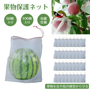 ʕی ʕیobO ʎh ʎ Q bVobO h lbg   悯 h ʋC В 50Zbg 35cm×25cm В 悯 |pi K[fjO