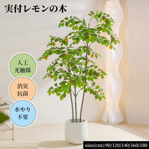 �ϗt�A�� ���t�������̖� �������̖� ������ 90/120/140/160/180cm �l�H ���G�} ���L �R�� �����s�v ���A���ȗt �t�F�C�N�O���[�� �C���e���A�O���[�� ���킢�� ���r���O ���� �l�H�ϗt�A�� ���L