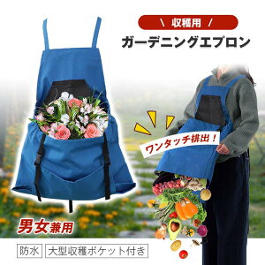 K[fjOGv |Pbgt nGv |Pbgt  _ Gv GvobO AEghA GvNXobN Xgbv  ʕ  p t