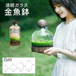  {g KX h[^Wt }CNhXP[v ؐgC a z[ؐ 4TCY  Ϗܗp Mы ͔| ϗtA CeA _fUC