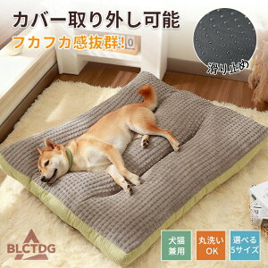  xbh L xbh ʔN 􂦂 S-2XL ӂӂ ybgxbh ̂ ې ȒP| CeACp^ I[V[Y \t@[ k Lxbh RۖhLh_j zM ybg\t@[ 